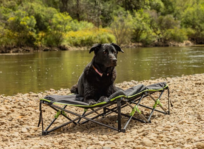 QUICK FOLD DOG BED WITH PADDED MAT XLARGE