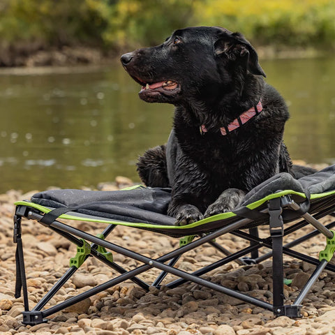 Quick Fold Dog Bed with Padded Mat (80 x 80 x 25cm)  Ironman   