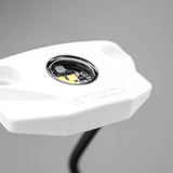 Marine White Surface LED Rock Light | White (5700k) Marine Lighting STEDI